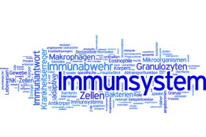 Immunsystem
