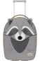 Mobile Preview: RACCOON REMY 2 (Upright 45cm + Toilet Kit)