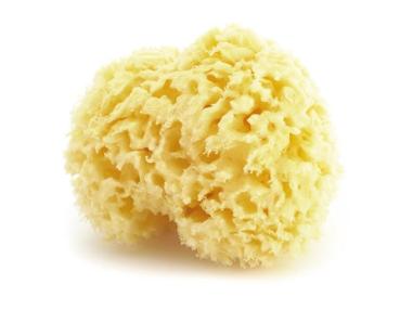 NATÜRLICHER MEERESCHWAMM - 12 cm
