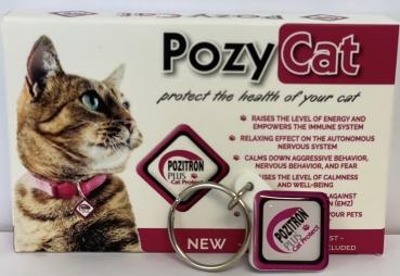 Pozy Cat