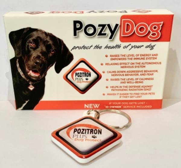 Pozy Dog