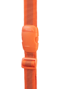 TRAVEL ACCESSORIES Kofferband 38mm - Kopie